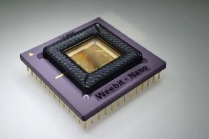Weebit.jpeg